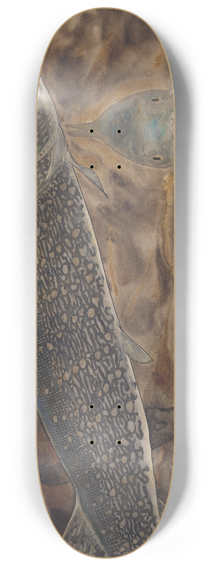 Gerrit Willem Dijsselhof - Twee Snoeken in een aquarium, van opzij en van voren gezien 8.25 inch art skate deck