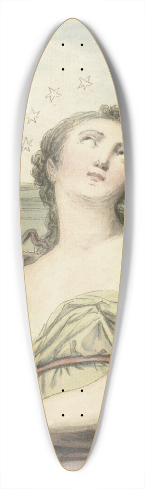 Louis Fabritius Dubourg - De Sterrenkunde 39.3 inch art pintail longboard deck