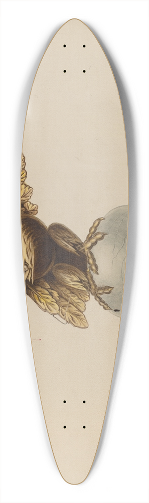 Louis Plogsted - Eagle 39.3 inch art pintail longboard deck