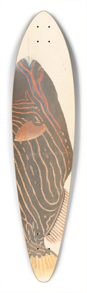 Luigi Balugani - A Fish 39.3 inch art pintail longboard deck