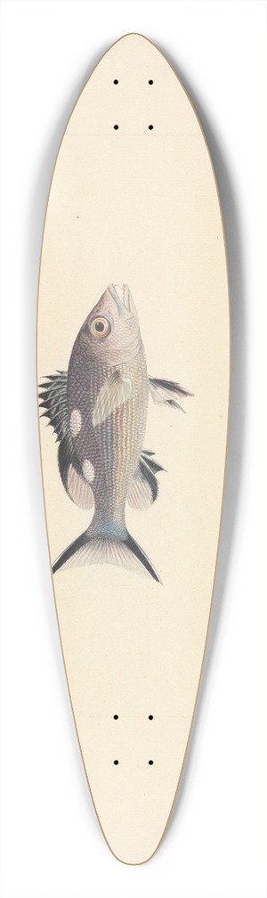 Luigi Balugani - Unidentified Fish 39.3 inch art pintail longboard deck