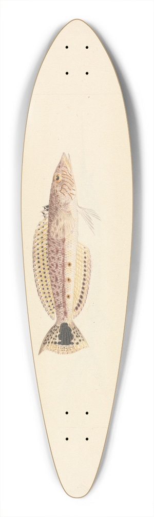 Luigi Balugani - Unidentified Fish 39.3 inch art pintail longboard deck