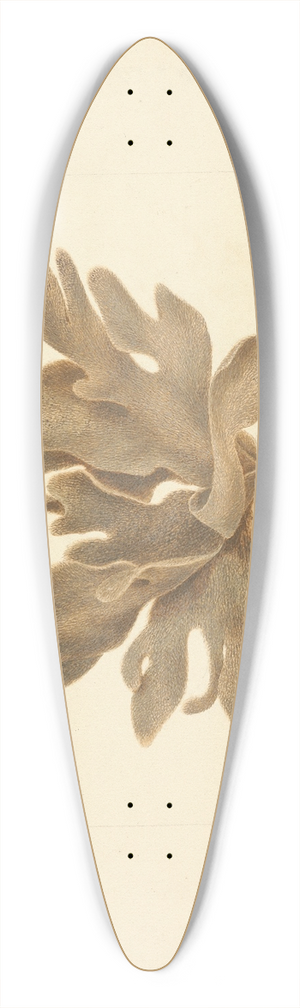 Luigi Balugani - Untitled 39.3 inch art pintail longboard deck