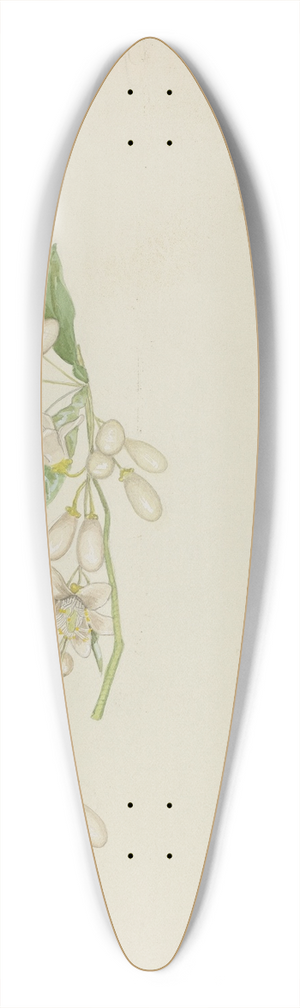 Lyman Young - Costume Accessory (Orange Blossoms) 39.3 inch art pintail longboard deck