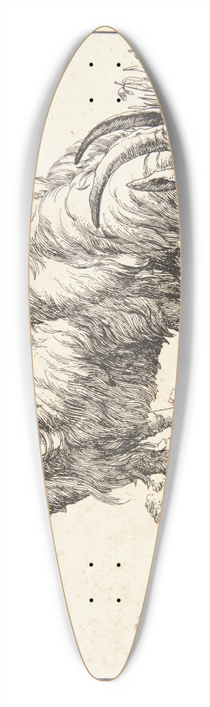 Marcus de Bye - Drikkende ged 39.3 inch art pintail longboard deck