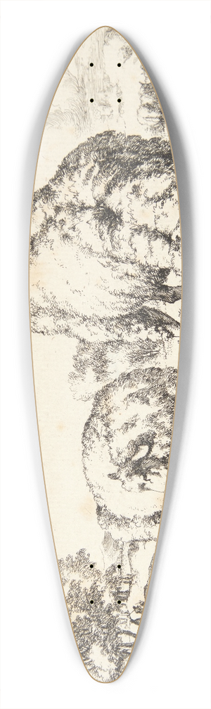 Marcus de Bye - Grssende fr, set forfra 39.3 inch art pintail longboard deck