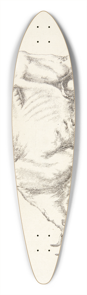 Marcus de Bye - Grssende ko 39.3 inch art pintail longboard deck