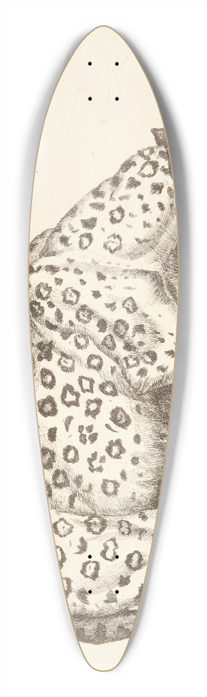 Marcus de Bye - Hunleopard 39.3 inch art pintail longboard deck