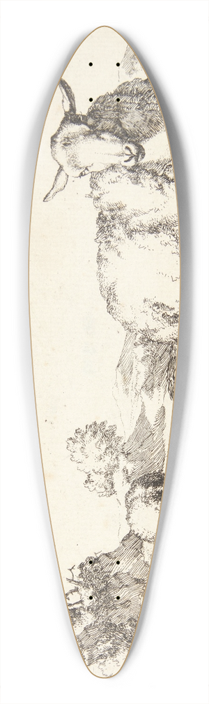 Marcus de Bye - Liggende fr 39.3 inch art pintail longboard deck