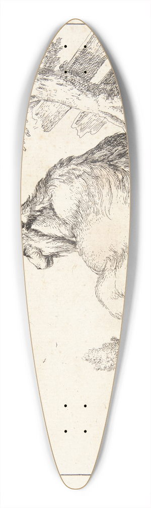 Marcus de Bye - Liggende ged 39.3 inch art pintail longboard deck