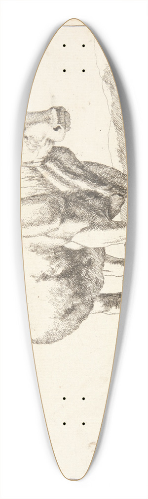 Marcus de Bye - Stende ko, set forfra 39.3 inch art pintail longboard deck