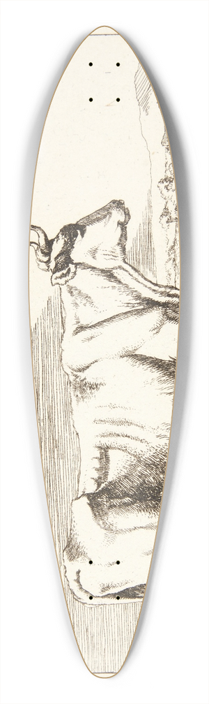 Marcus de Bye - Stende ko, vendt mod hjre 39.3 inch art pintail longboard deck