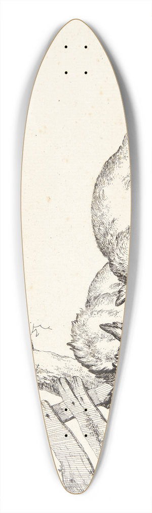 Marcus de Bye - To sovende svin 39.3 inch art pintail longboard deck