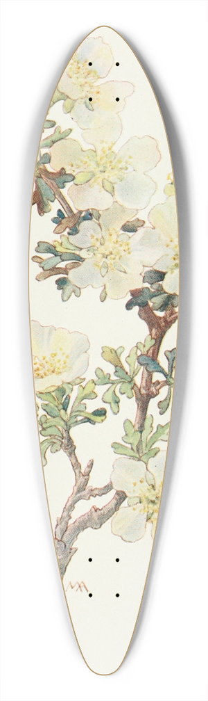 Margaret Armstrong - Cliff Rose 39.3 inch art pintail longboard deck