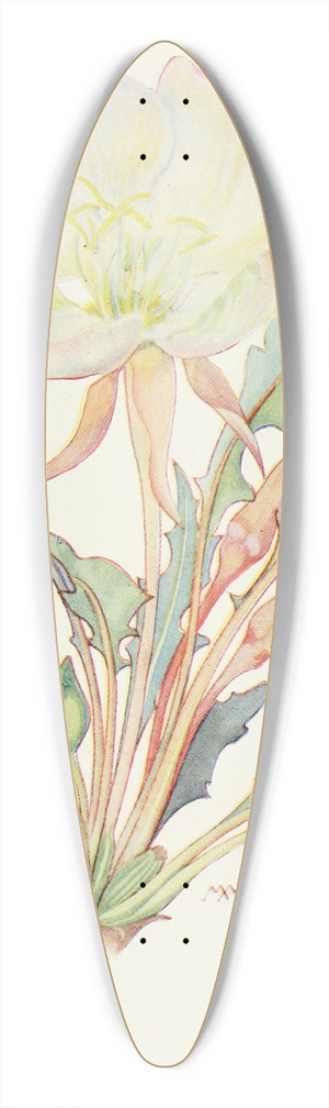 Margaret Armstrong - White Evening Primrose 39.3 inch art pintail longboard deck