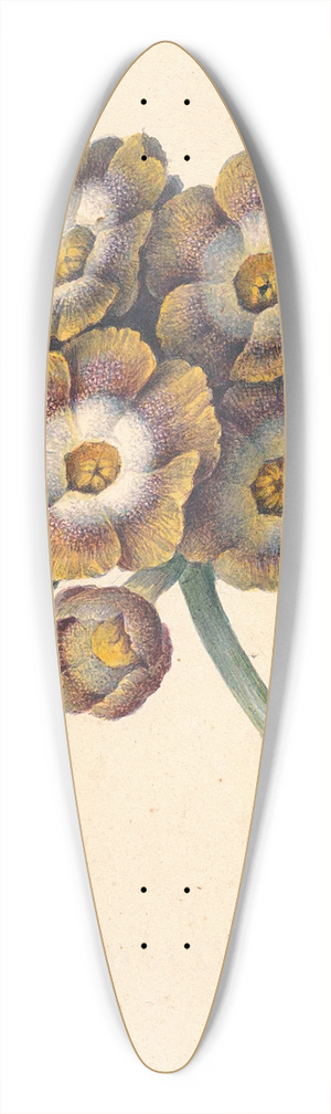 Maria Margaretha van Os - Bloemenstudie 39.3 inch art pintail longboard deck