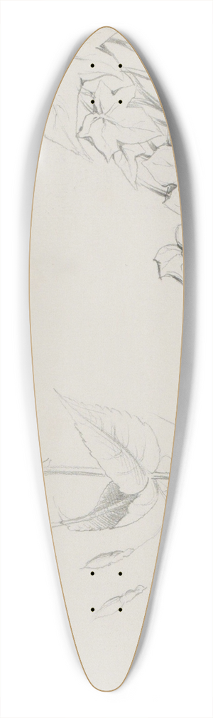 Marius Bauer - Klimop en een bloemknop 39.3 inch art pintail longboard deck