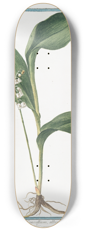 Giorgio Bonelli - Lilium Convallium, album  Mughetto Floralise  Muguet. (Lily of the Valley) 8.25 inch art skate deck