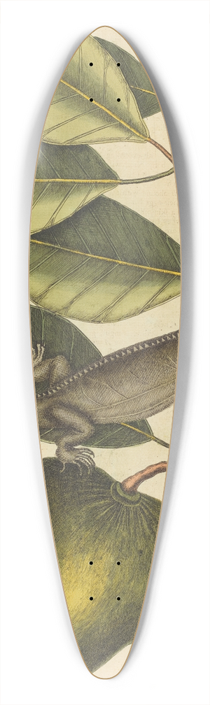 Mark Catesby - The Guana (Lacerta Iguana) 39.3 inch art pintail longboard deck