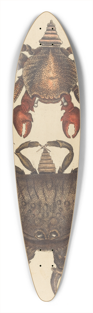 Mark Catesby - The Red Mottled Rock-crab (Cancer grapsus) 39.3 inch art pintail longboard deck
