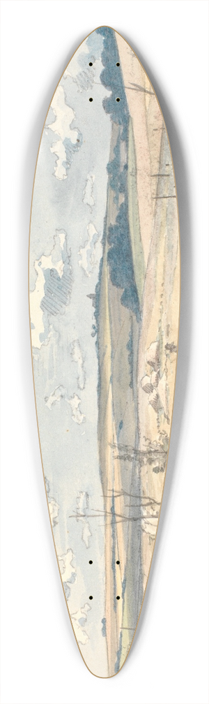 Martinus Rrbye - Et landskab 39.3 inch art pintail longboard deck