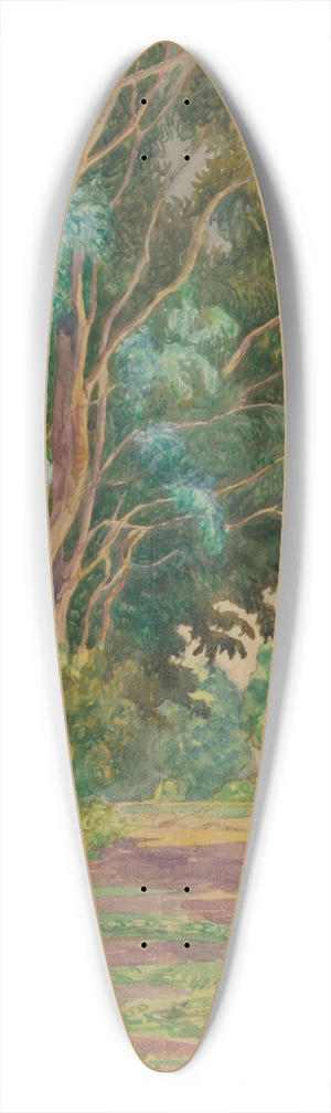 Martn Malharro - Paisaje 39.3 inch art pintail longboard deck