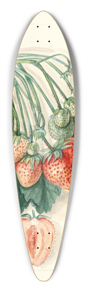 Mary Daisy Arnold - Fragaria: Manhattan 39.3 inch art pintail longboard deck