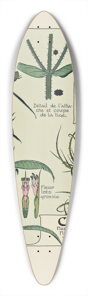 Maurice Pillard Verneuil - Cardere 39.3 inch art pintail longboard deck