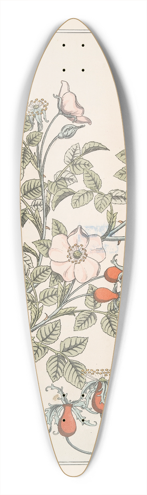 Maurice Pillard Verneuil - Eglantier 39.3 inch art pintail longboard deck