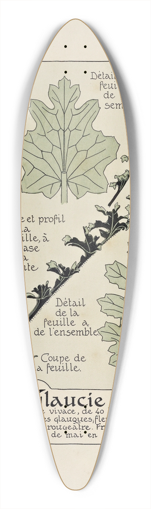 Maurice Pillard Verneuil - Glaucie 39.3 inch art pintail longboard deck