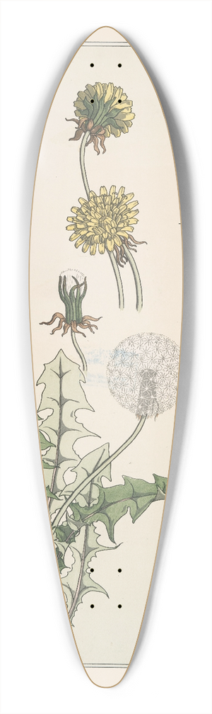 Maurice Pillard Verneuil - Pissenlit 39.3 inch art pintail longboard deck