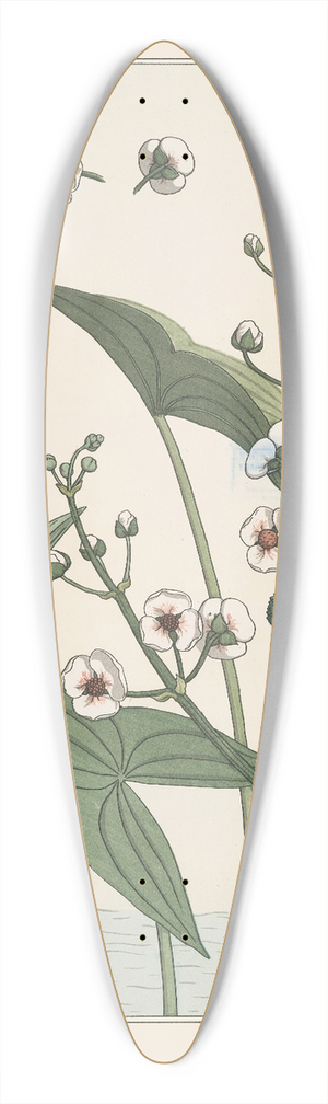 Maurice Pillard Verneuil - Sagittaire 39.3 inch art pintail longboard deck