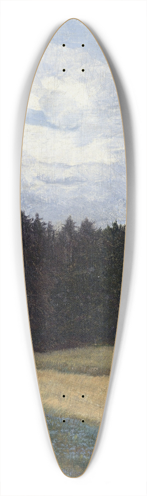 Michael Licklederer - Bei Stephanskirchen 39.3 inch art pintail longboard deck