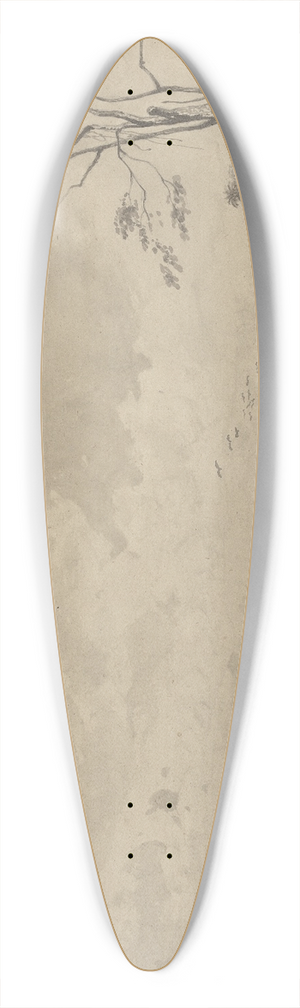 Michel Jean Cazabon - Los Gallos, Icacos Bay 39.3 inch art pintail longboard deck