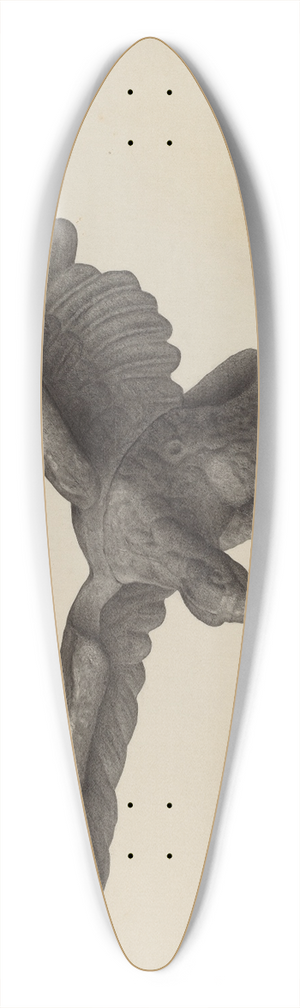 Milton Grubstein - Eagle 39.3 inch art pintail longboard deck