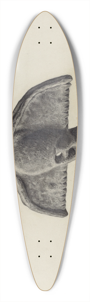 Milton Grubstein - Snow Catcher 39.3 inch art pintail longboard deck