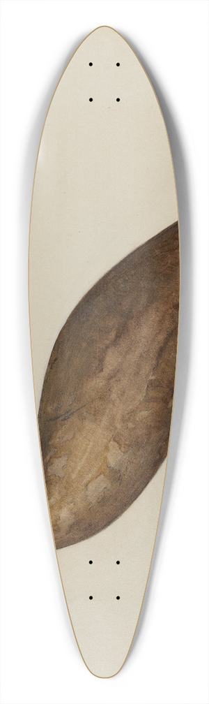 Mina Lowry - Bird 39.3 inch art pintail longboard deck