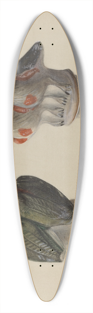 Mina Lowry - Chalkware Lovebirds 39.3 inch art pintail longboard deck