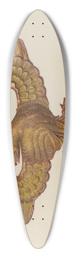 Mina Lowry - Eagle 39.3 inch art pintail longboard deck