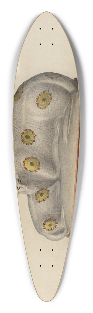 Mina Lowry - Pa. German Chalkware Sheep 39.3 inch art pintail longboard deck