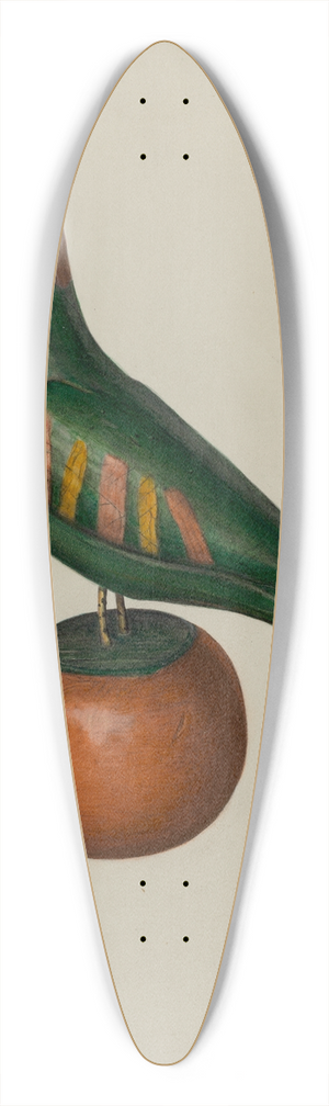 Mina Lowry - Pa. German Parrot 39.3 inch art pintail longboard deck