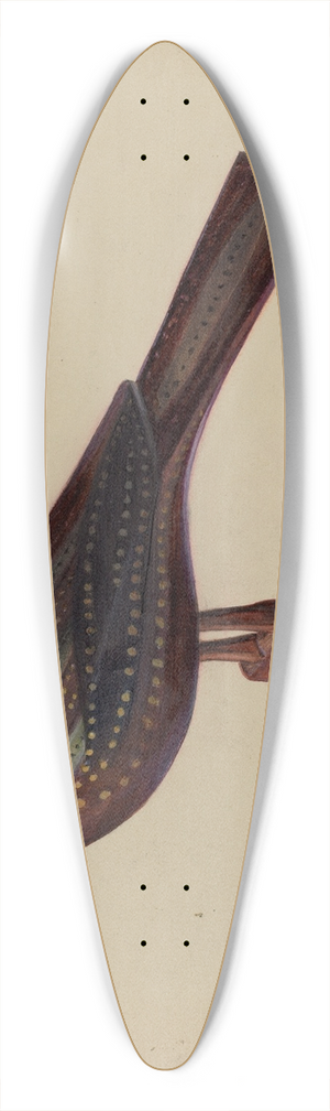 Mina Lowry - Pa. German Robin Figurine 39.3 inch art pintail longboard deck