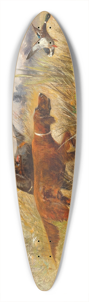 Moritz Mller - A Duck Hunt 39.3 inch art pintail longboard deck
