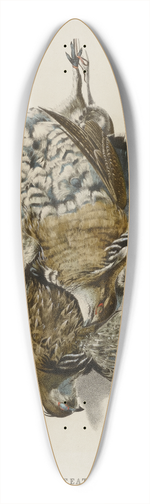 Nathaniel Currier - American Feathered GamePartridges 39.3 inch art pintail longboard deck