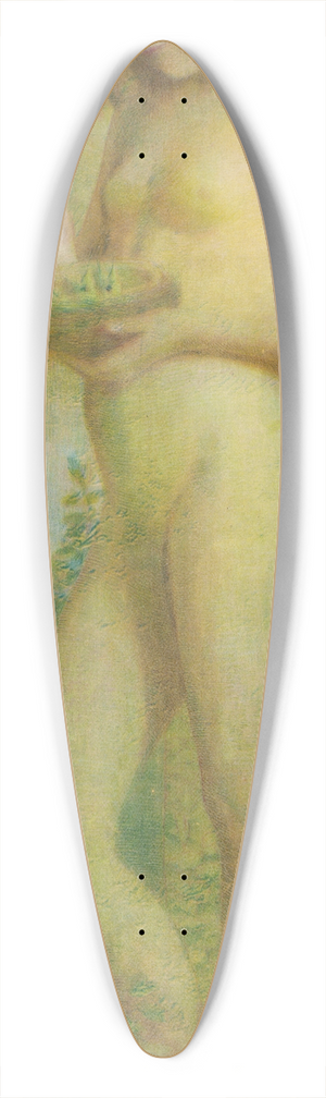 Newton A. Wells - Spring 39.3 inch art pintail longboard deck