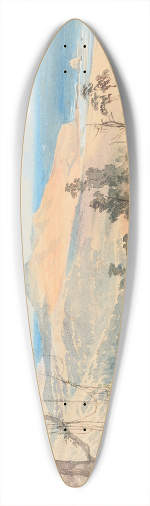 Nicholas Chevalier - Sandfly Bay and Gull Rock near Dunedin 39.3 inch art pintail longboard deck