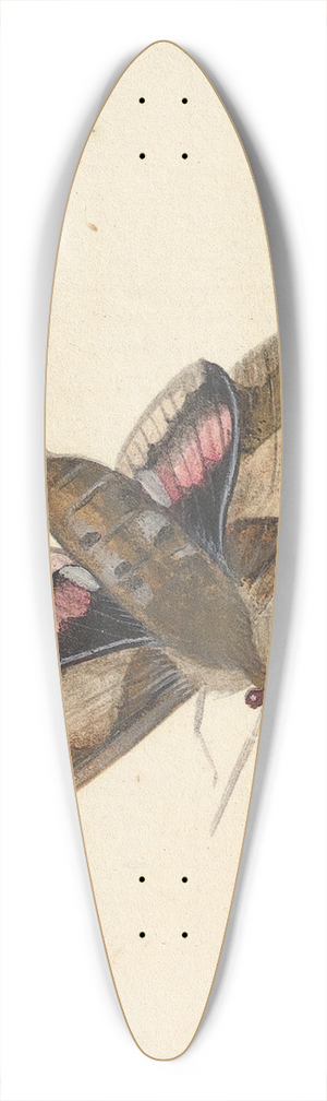 Nicolaas Struyk - A Moth 39.3 inch art pintail longboard deck