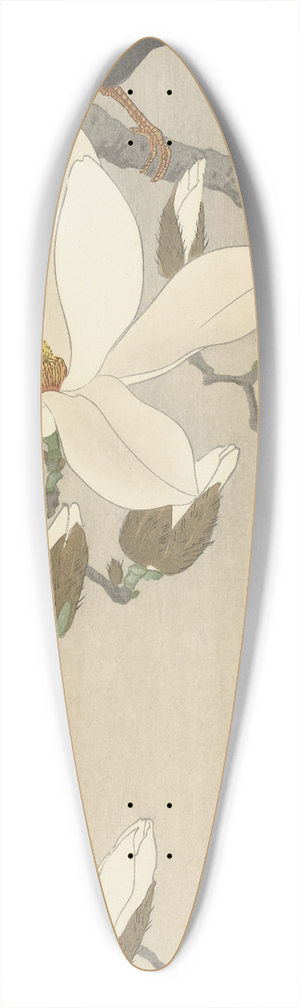 Ohara Koson - Myna on Magnolia Branch 39.3 inch art pintail longboard deck