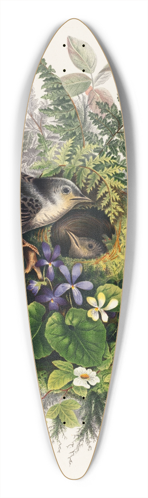 Olive E Whitney - Birds 39.3 inch art pintail longboard deck