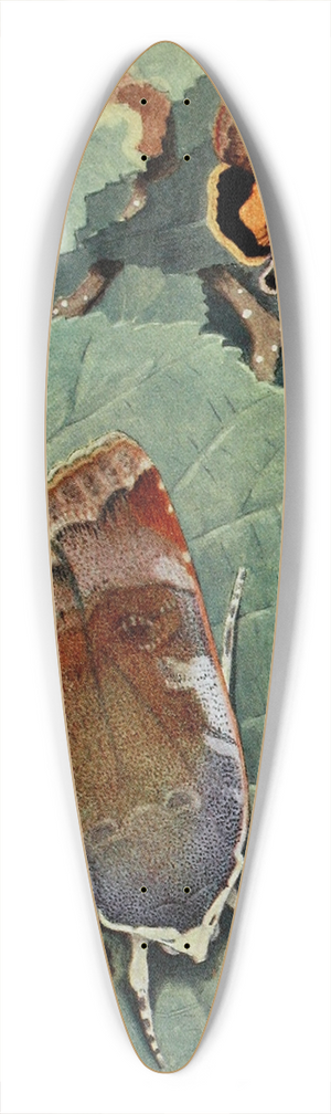 Paul-Andre Robert - Le Casque 39.3 inch art pintail longboard deck